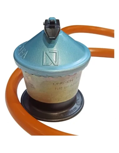 Goma de butano y alcachofa